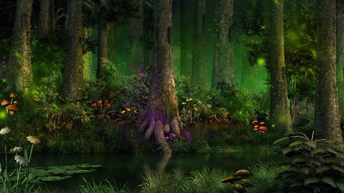 12 Enchanted Forests In Mythology And Folklore Uniguide