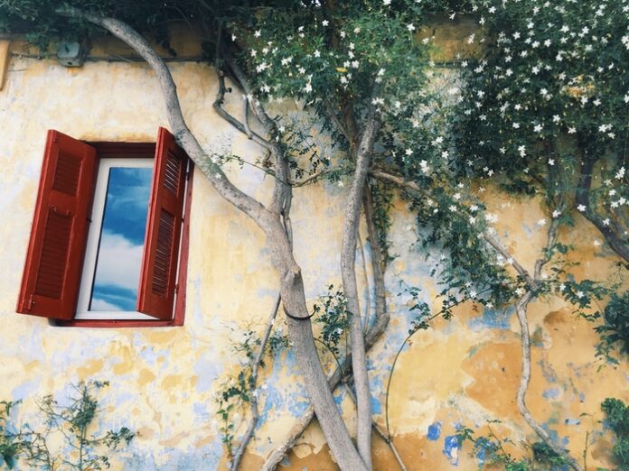 Jasmine Flower Meanings, Folklore & Uses UniGuide