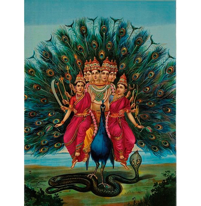 Murugan and Peacock