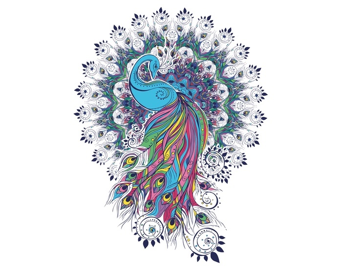 Peacock Tattoo