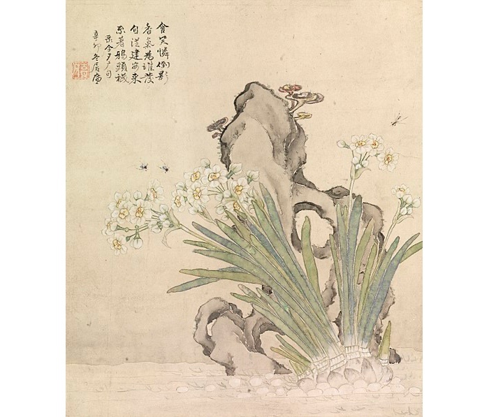 Narcissus Flower Meanings, Symbolism, and Mythology UniGuide