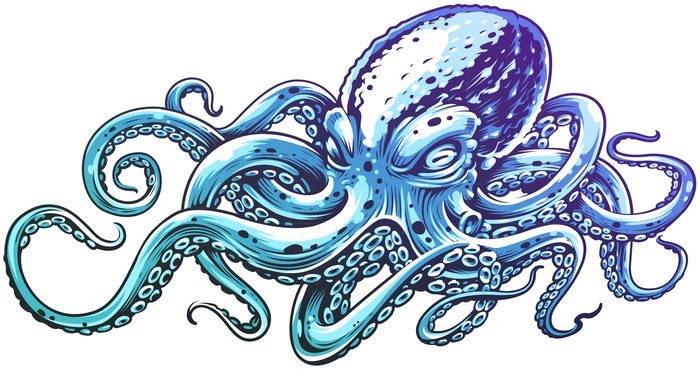 Octopus Tattoo 