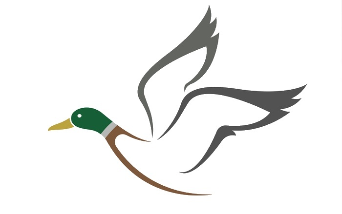 Duck Tattoo