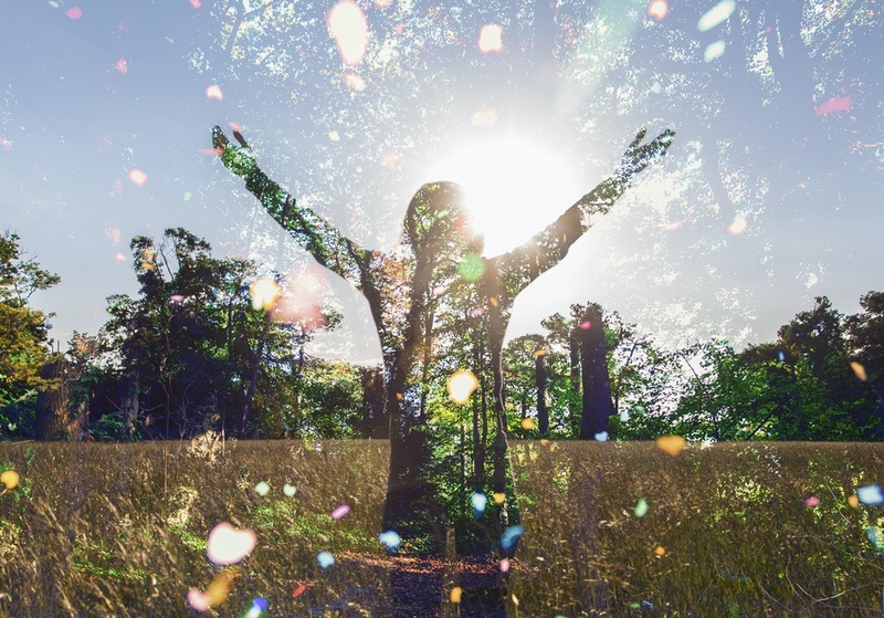 Free Spirit 