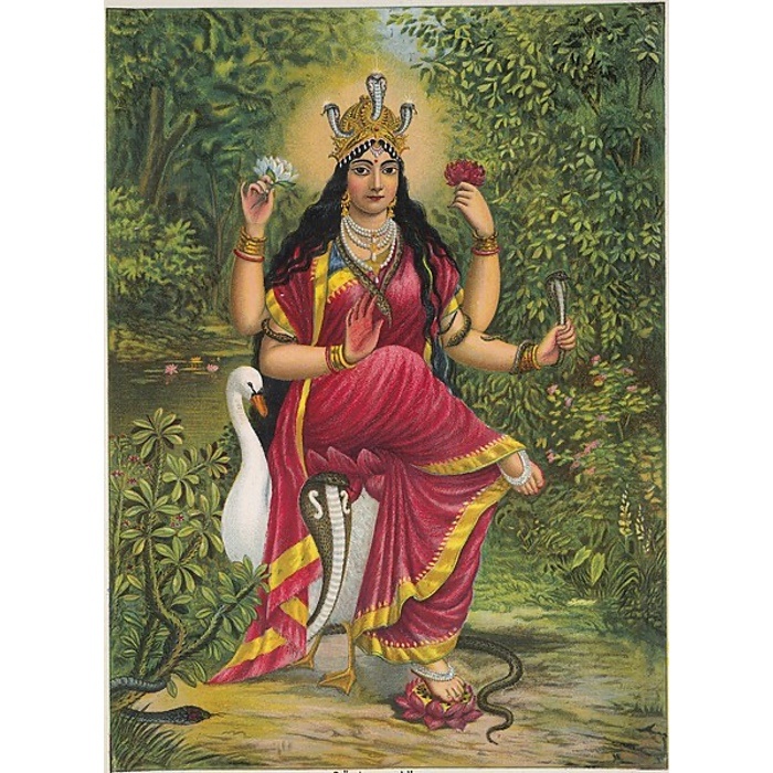Manasa and Duck