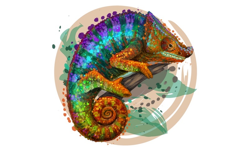 Chameleon Tattoo 