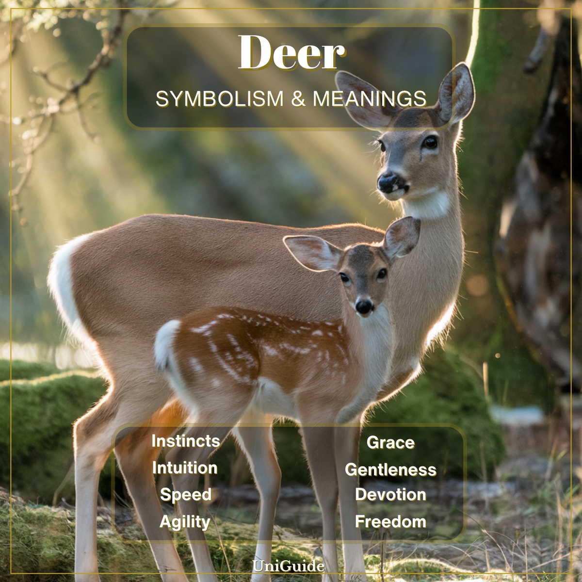 Deer Symbolism
