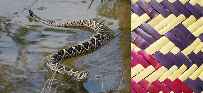Diamondback Rattlesnake and Choctaw Basket