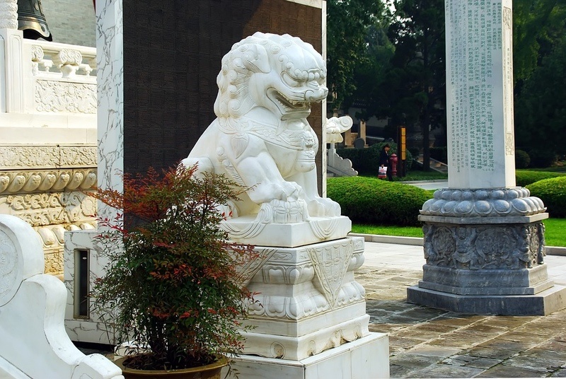 Chinese Guardian Lion Fu Dog