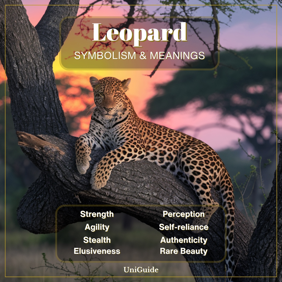 Leopard Symbolism
