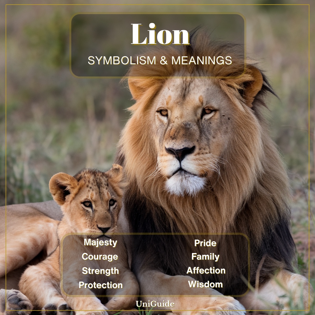 Lion Symbolism