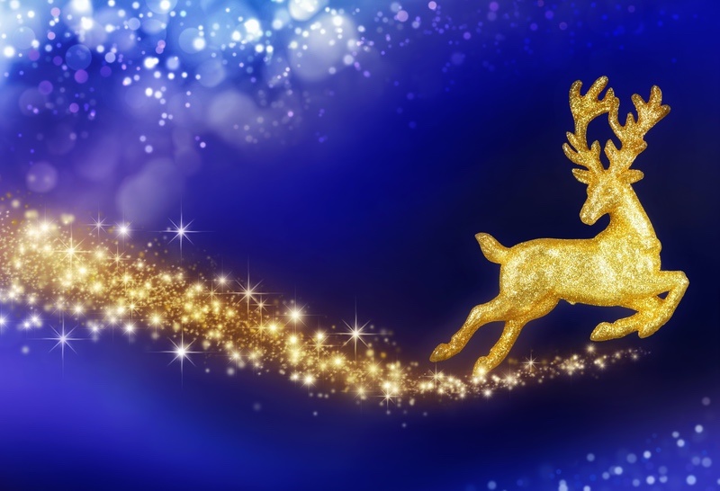 Reindeer Spirit Animal