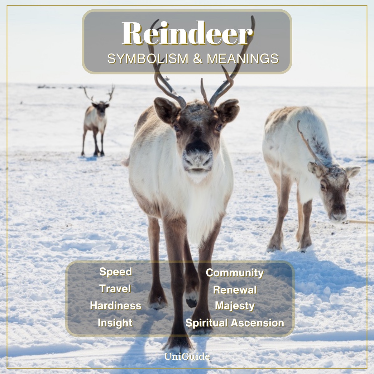 Reindeer Symbolism