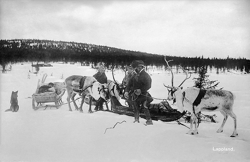 Sami Family and Reindeer