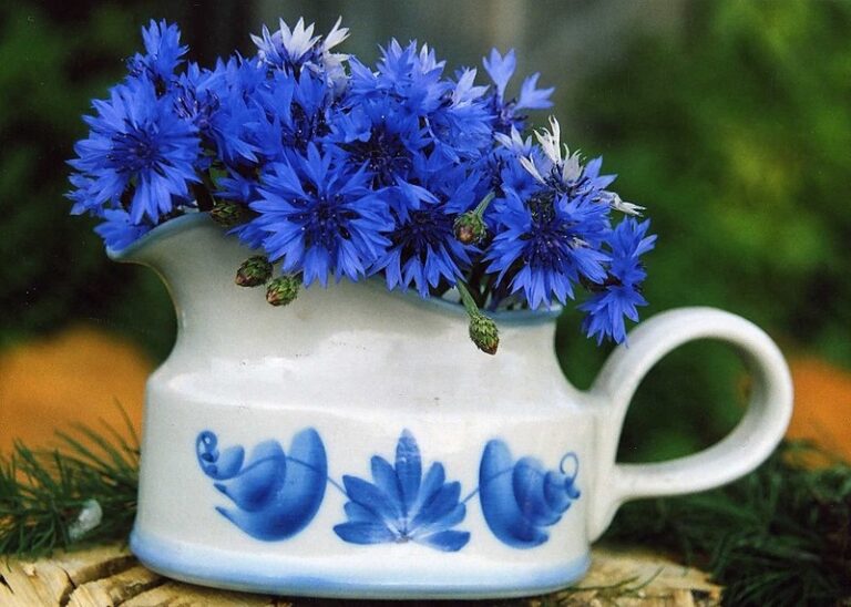 Blue Flowers