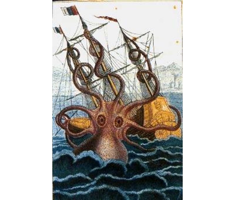 Kraken Sea Monster