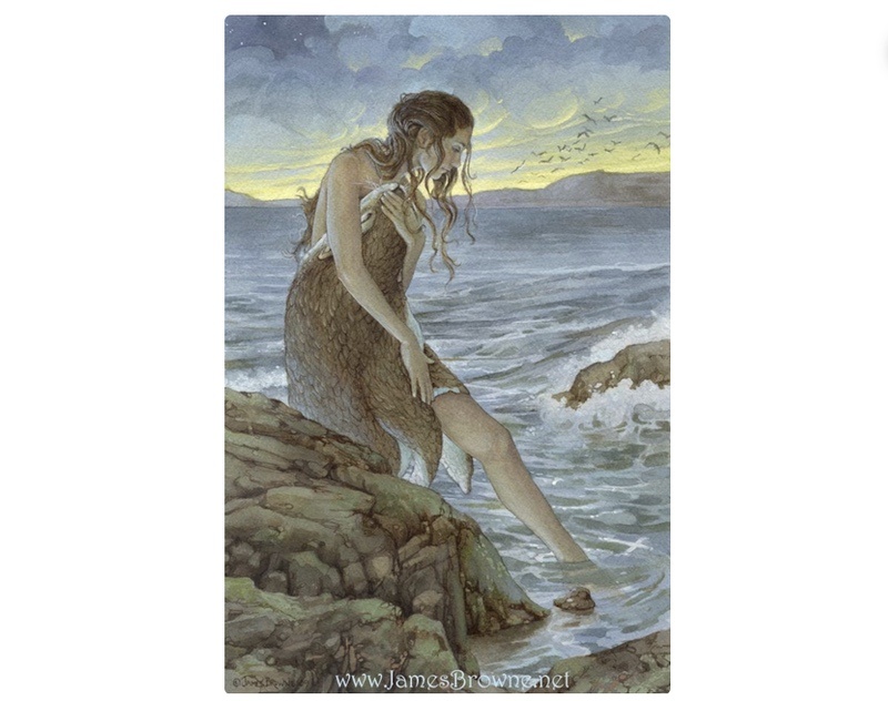 The Selkie
