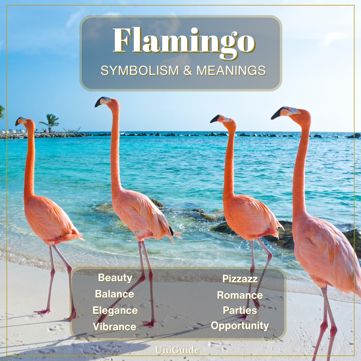 Flamingo Symbolism