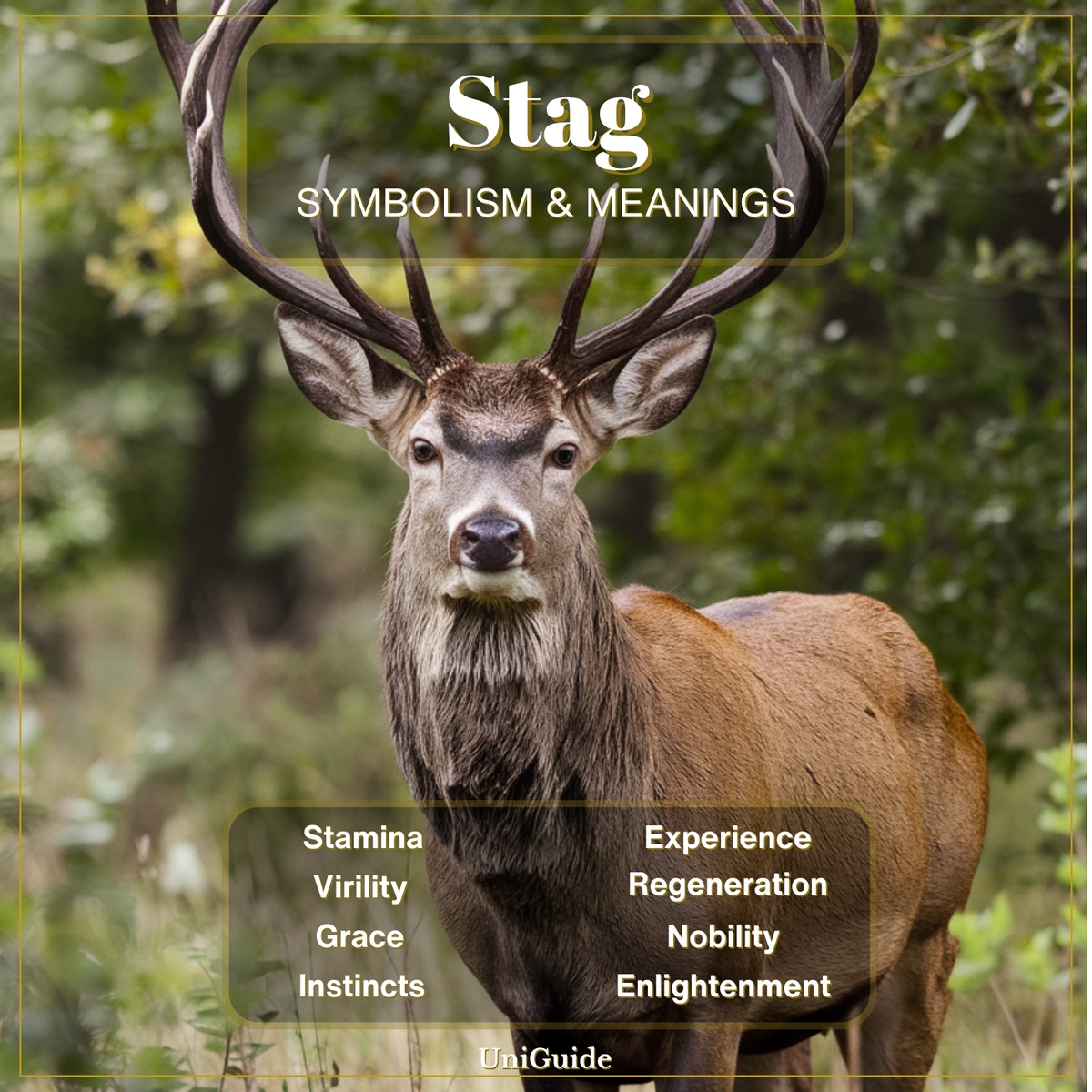 Stag Symbolism