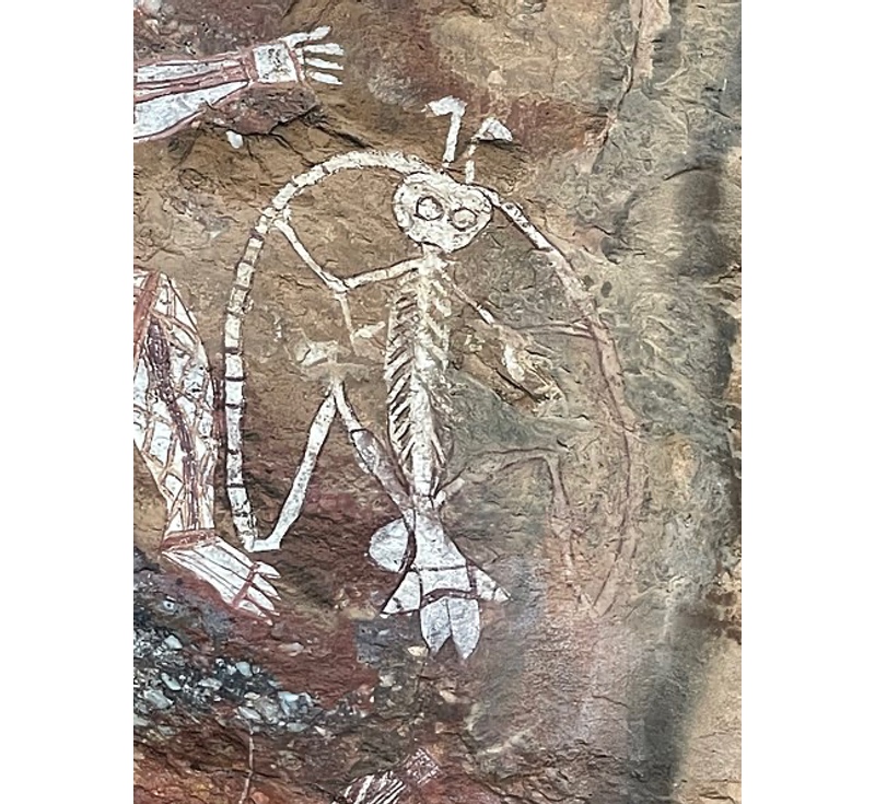 Namarrkon