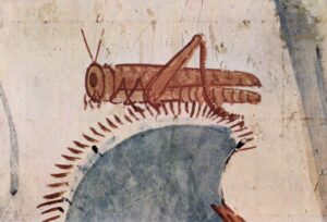 Grasshopper Pharaoh Horemhab Tomb