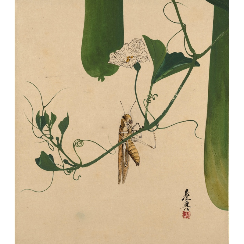 Grasshopper on Gourd Vin