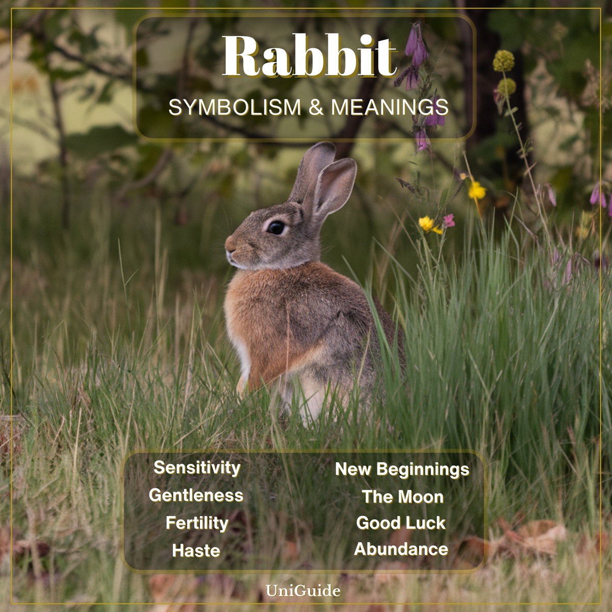Rabbit Symbolism