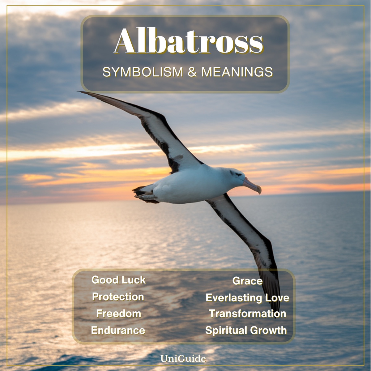 Albatross Symbolism