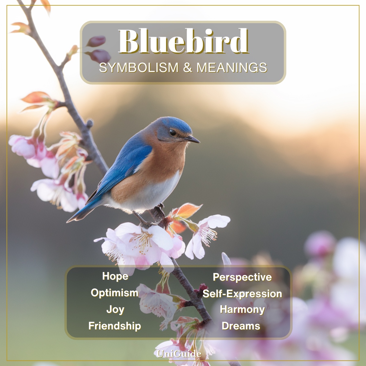 Bluebird Symbolism