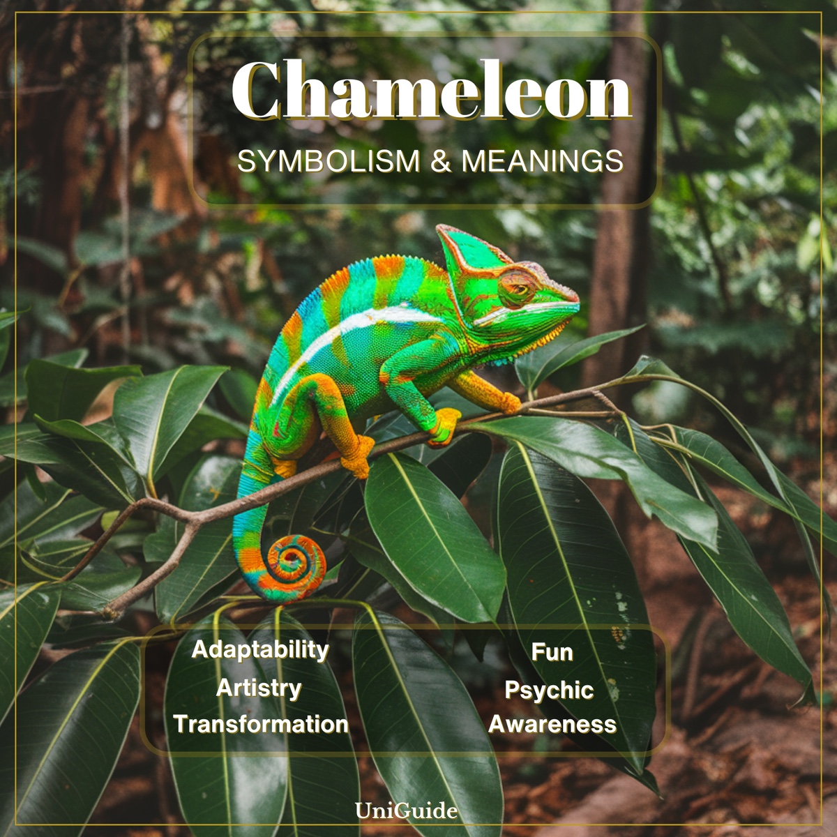 Chameleon Symbolism