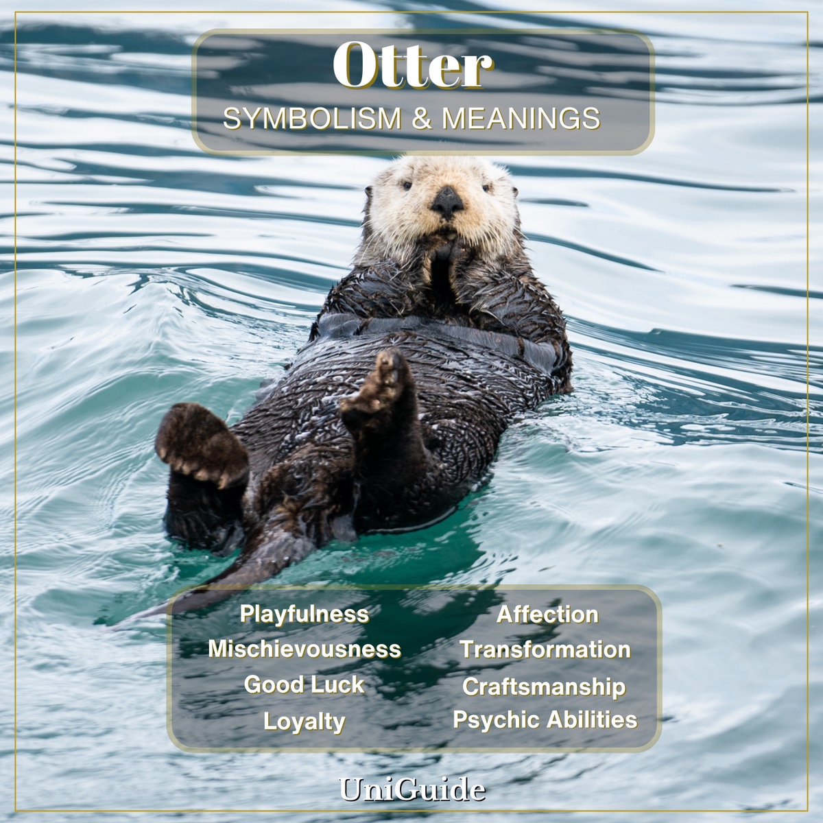 Otter Symbolism
