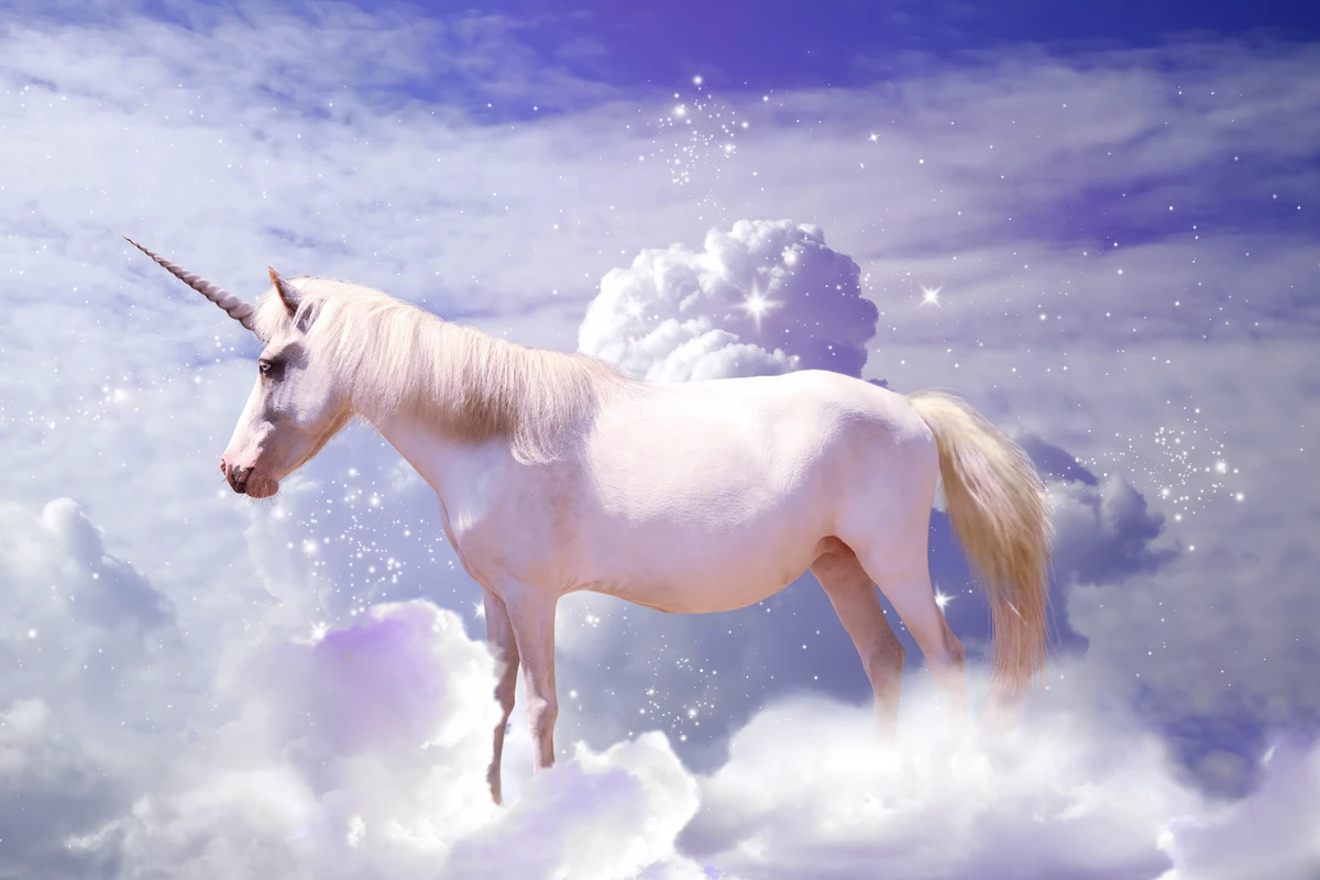 Unicorn in the Clouds