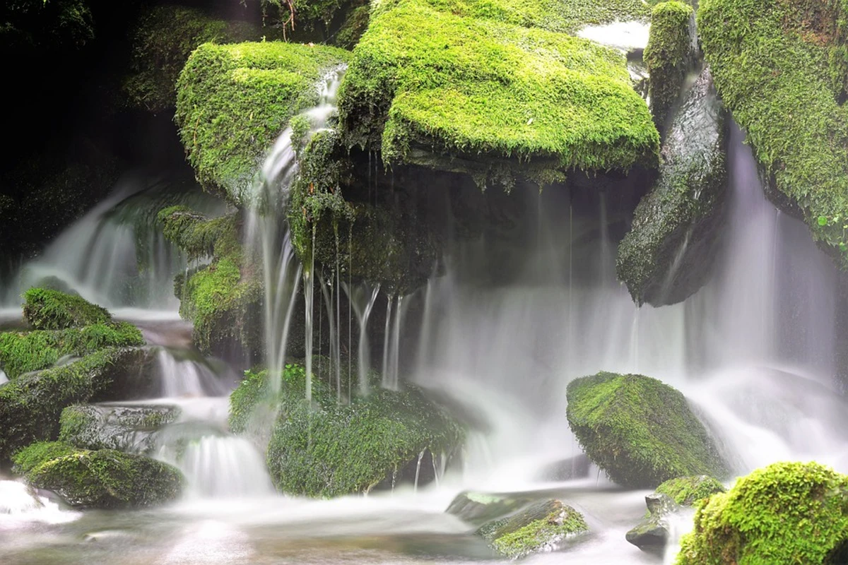 Waterfall on Moss