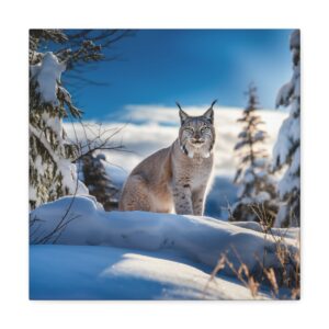 Lynx in Snow Art Canvas