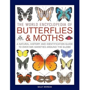 World Encyclopedia of Butterflies & Moths