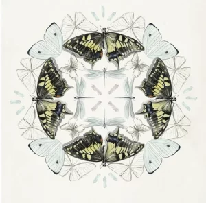 Black & Yellow, White, and Light Blue Butterfly Mandala Art Print