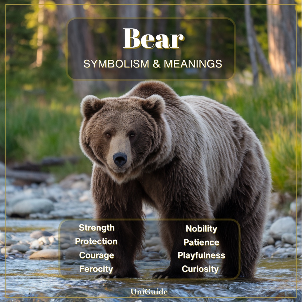Bear Symbolism