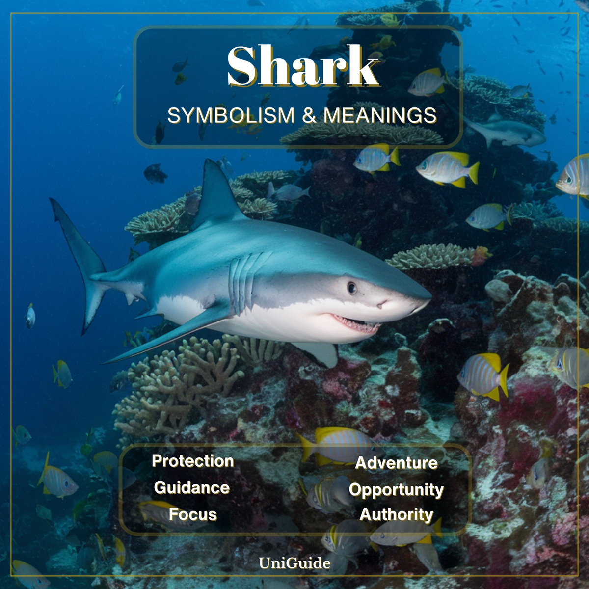 Shark Symbolism