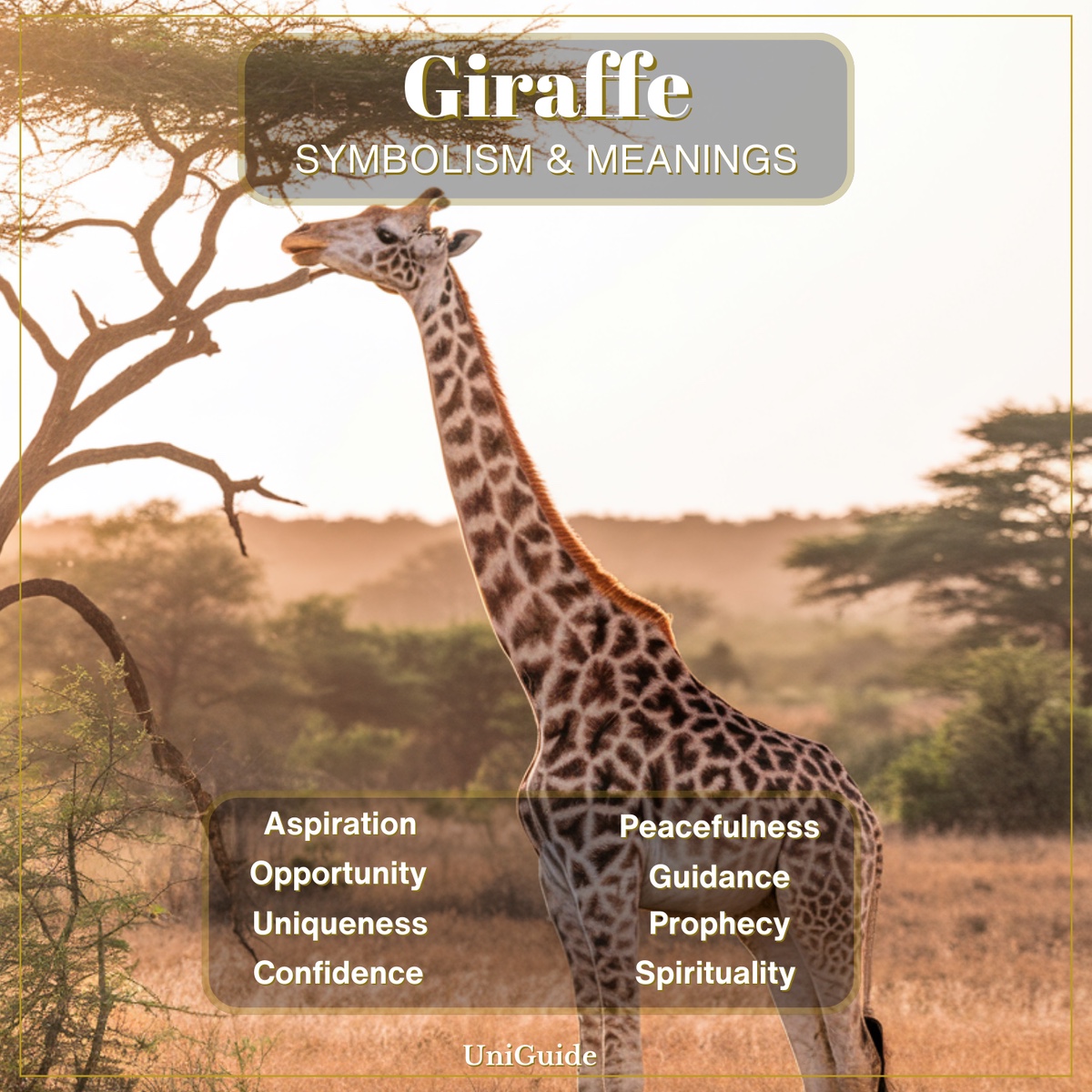 Giraffe Symbolism